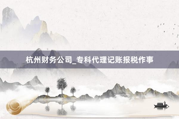 杭州财务公司_专科代理记账报税作事